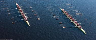 AI驱动的体育健康推荐系统